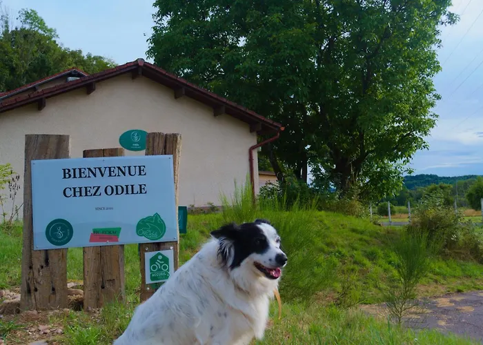 Kapslový hotel Familiale Odile Et Les Cycleux